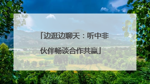 边逛边聊天：听中非伙伴畅谈合作共赢