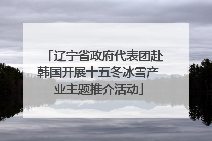 辽宁省政府代表团赴韩国开展十五冬冰雪产业主题推介活动