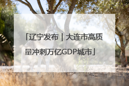 辽宁发布｜大连市高质量冲刺万亿GDP城市