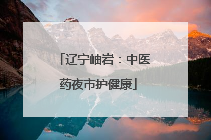 辽宁岫岩：中医药夜市护健康