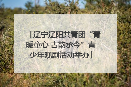 辽宁辽阳共青团“青暖童心 古韵承今”青少年观剧活动举办