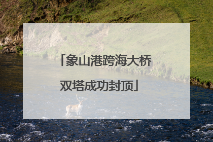 象山港跨海大桥双塔成功封顶