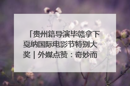 贵州籍导演毕赣拿下戛纳国际电影节特别大奖｜外媒点赞：奇妙而广阔的纯粹电影梦