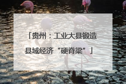 贵州：工业大县锻造县域经济“硬脊梁”