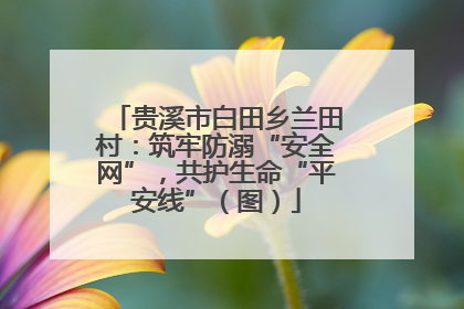 贵溪市白田乡兰田村：筑牢防溺“安全网”，共护生命“平安线”（图）