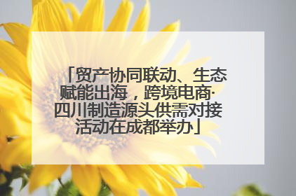 贸产协同联动、生态赋能出海，跨境电商·四川制造源头供需对接活动在成都举办