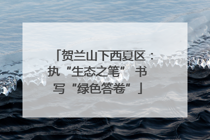 贺兰山下西夏区：执“生态之笔” 书写“绿色答卷”