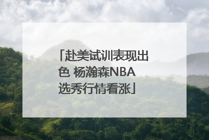 赴美试训表现出色 杨瀚森NBA选秀行情看涨