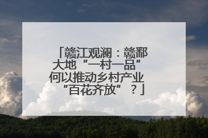 赣江观澜：赣鄱大地“一村一品”何以推动乡村产业“百花齐放”？
