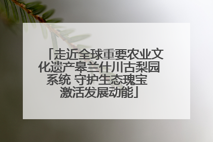 走近全球重要农业文化遗产皋兰什川古梨园系统 守护生态瑰宝 激活发展动能