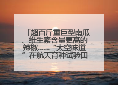 超百斤重巨型南瓜、维生素含量更高的辣椒……“太空味道”在航天育种试验田里拔节生长