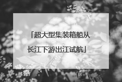超大型集装箱船从长江下游出江试航