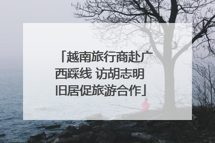 越南旅行商赴广西踩线 访胡志明旧居促旅游合作