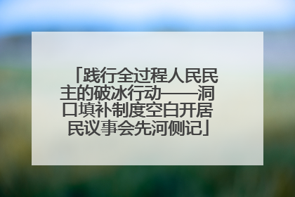 践行全过程人民民主的破冰行动——洞口填补制度空白开居民议事会先河侧记