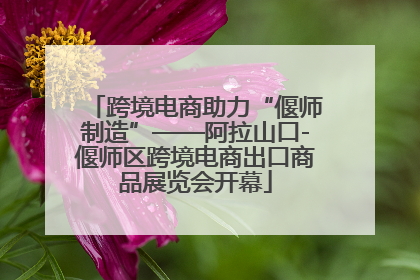 跨境电商助力“偃师制造”——阿拉山口-偃师区跨境电商出口商品展览会开幕