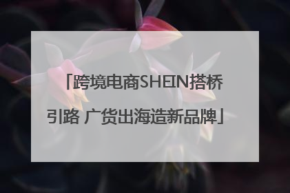 跨境电商SHEIN搭桥引路 广货出海造新品牌