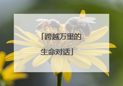 跨越万里的生命对话