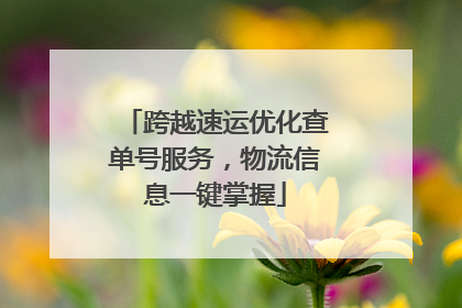 跨越速运优化查单号服务，物流信息一键掌握