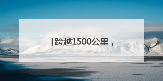跨越1500公里，奥森龙形水系迎来湖南益阳双桡龙舟表