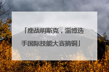 鏖战明斯克，淄博选手国际技能大赛摘铜