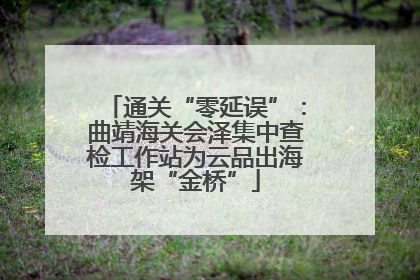 通关“零延误”：曲靖海关会泽集中查检工作站为云品出海架“金桥”