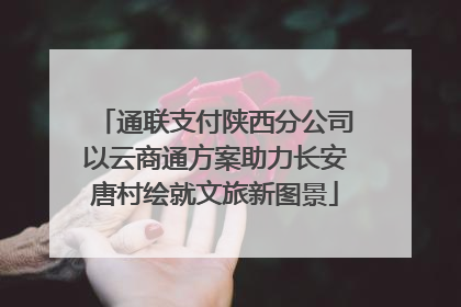 通联支付陕西分公司以云商通方案助力长安唐村绘就文旅新图景