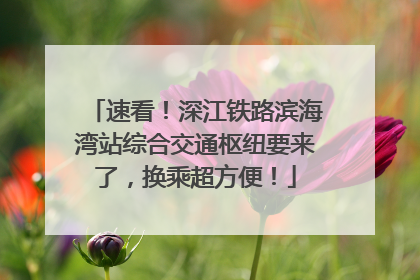 速看！深江铁路滨海湾站综合交通枢纽要来了，换乘超方便！