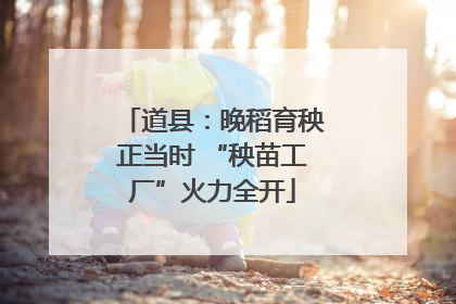 道县：晚稻育秧正当时 “秧苗工厂”火力全开