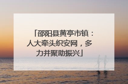 邵阳县黄亭市镇：人大牵头织安网，多力并聚助振兴