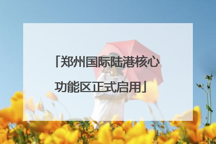 郑州国际陆港核心功能区正式启用