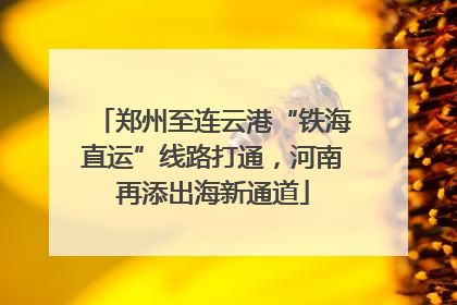 郑州至连云港“铁海直运”线路打通，河南再添出海新通道