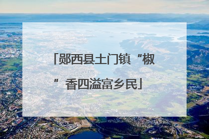 郧西县土门镇“椒”香四溢富乡民