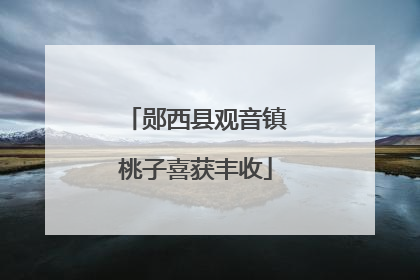 郧西县观音镇桃子喜获丰收
