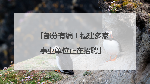 部分有编！福建多家事业单位正在招聘