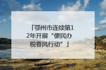 鄂州市连续第12年开展“便民办税春风行动”