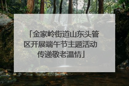 金家岭街道山东头管区开展端午节主题活动 传递敬老温情