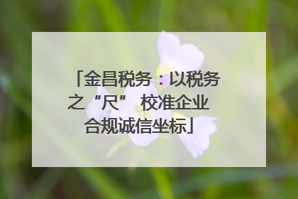 金昌税务：以税务之“尺” 校准企业合规诚信坐标
