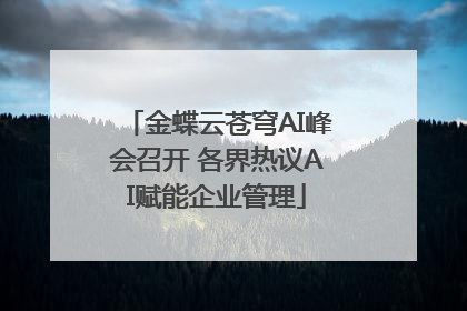 金蝶云苍穹AI峰会召开 各界热议AI赋能企业管理