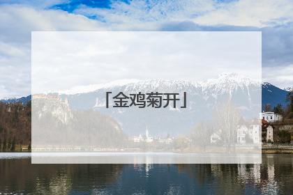 金鸡菊开