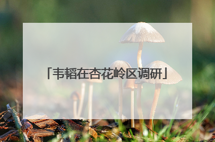 韦韬在杏花岭区调研