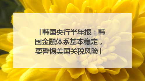 韩国央行半年报：韩国金融体系基本稳定，要警惕美国关税风险