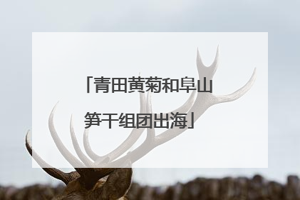 青田黄菊和阜山笋干组团出海