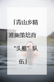 青山乡精准施策培育“头雁”队伍