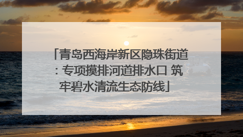 青岛西海岸新区隐珠街道：专项摸排河道排水口 筑牢碧水清流生态防线