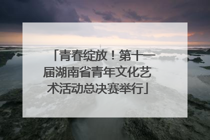 青春绽放！第十一届湖南省青年文化艺术活动总决赛举行