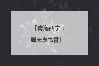 青海西宁：周末享书香