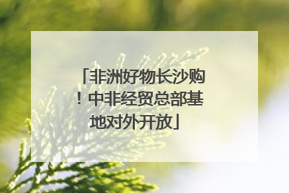 非洲好物长沙购！中非经贸总部基地对外开放
