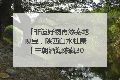 非遗好物再添秦地瑰宝，陕西白水杜康十三朝酒海陈藏30年别具一格