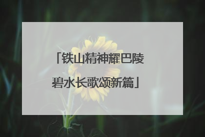 铁山精神耀巴陵 碧水长歌颂新篇