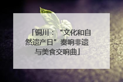 铜川：“文化和自然遗产日”奏响非遗与美食交响曲